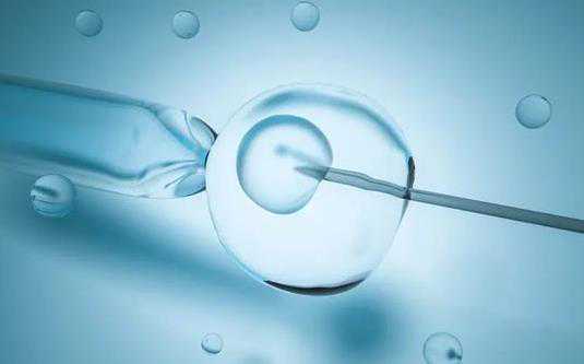 济南代生中介,子宫膜异位去做试管婴儿的成功率_干细胞疗法治疗卵巢早衰_济南