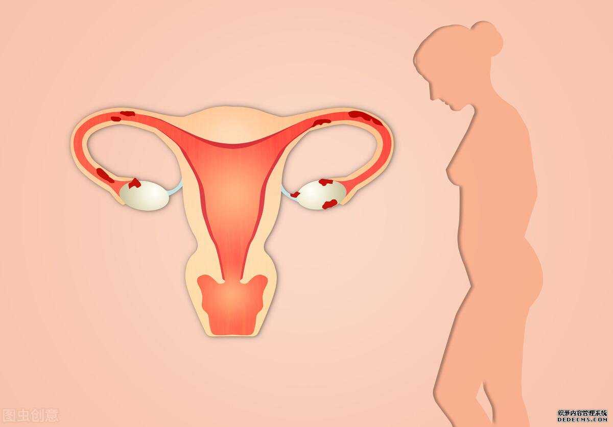 <b>怎么判断是不是出现排卵障碍？备孕女性要学会</b>